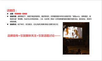 全方位攻略 寵物食品品牌的市場推廣與網絡營銷策劃